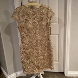 Kataya Lace Designed Dress, Size 10, Color Champagne